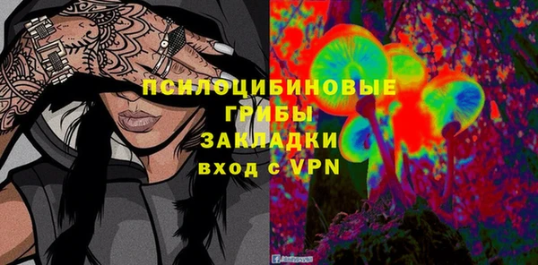 a pvp Магас