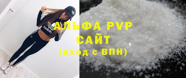 a pvp Магас