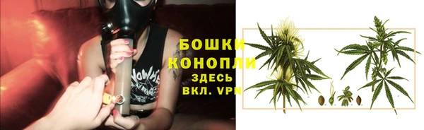 эйфоретик Магадан