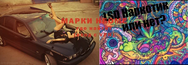a pvp Магас