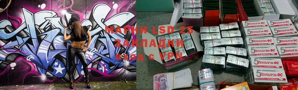 a pvp Магас
