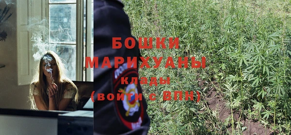 эйфоретик Магадан